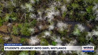 UK students take annual visit to FGCU to explore local wetlands