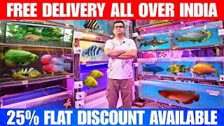 New Exotic And Monster Fish Stock | 25% Flat Discount + Free Shipping All Over India On Fish Tank