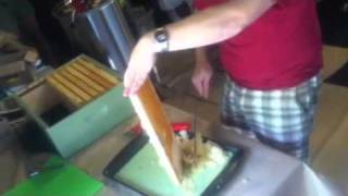 Honey Extraction at Bartram's Garden