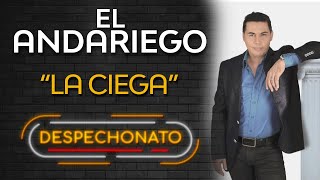 Video thumbnail of "El Andariego - La Ciega | Música Popular De Despecho"