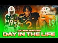 Miamis jaden harris talks college football playoffs the effects of nil and more