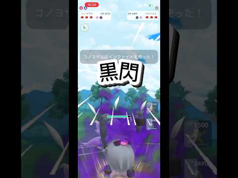 コノヨザルの黒閃 #ポケモン #ぽけもん #ポケモンgo #ポケモンgoバトルリーグ #gbl #pokemon #pokemongo