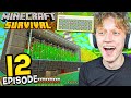 Minecraft Survival #12 - BEST SUGARCANE FARM! (fully automatic)