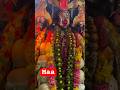 Maa #kalimaa #mahadev #mahakal #youtubeshorts #viral #trending #india #subscribe