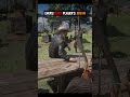 Every RDR2 player's Dream