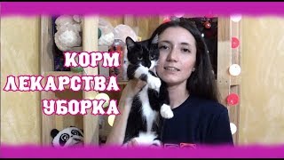 Едешь к бездомным животным? Что купить... The Alice Twins #55 Едешь к бездомным животным? Что купить... The Alice Twins #55