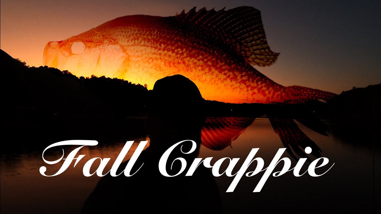 Finding Active Fall Crappie with Side and Down Imaging Sonar 