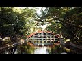 Japan travel vlog  episode 2 the last 24 hours in osaka 