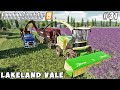 Harvesting alfalfa, chopping for fermentation & making bales | Lakeland Vale 2 | FS 19 | ep #31