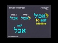 Learn Hebrew Verbs Lesson #1 - Paal Present Tense - Regular