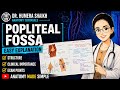 Popliteal fossa anatomy| simplified| hand written exam notes
