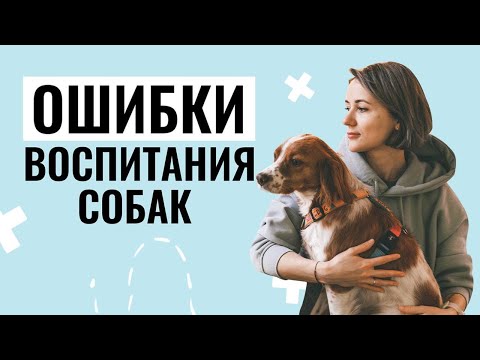 Видео: 5 ГЛАВНЫХ ОШИБОК В ВОСПИТАНИИ собак, которые мешают достичь результатов!