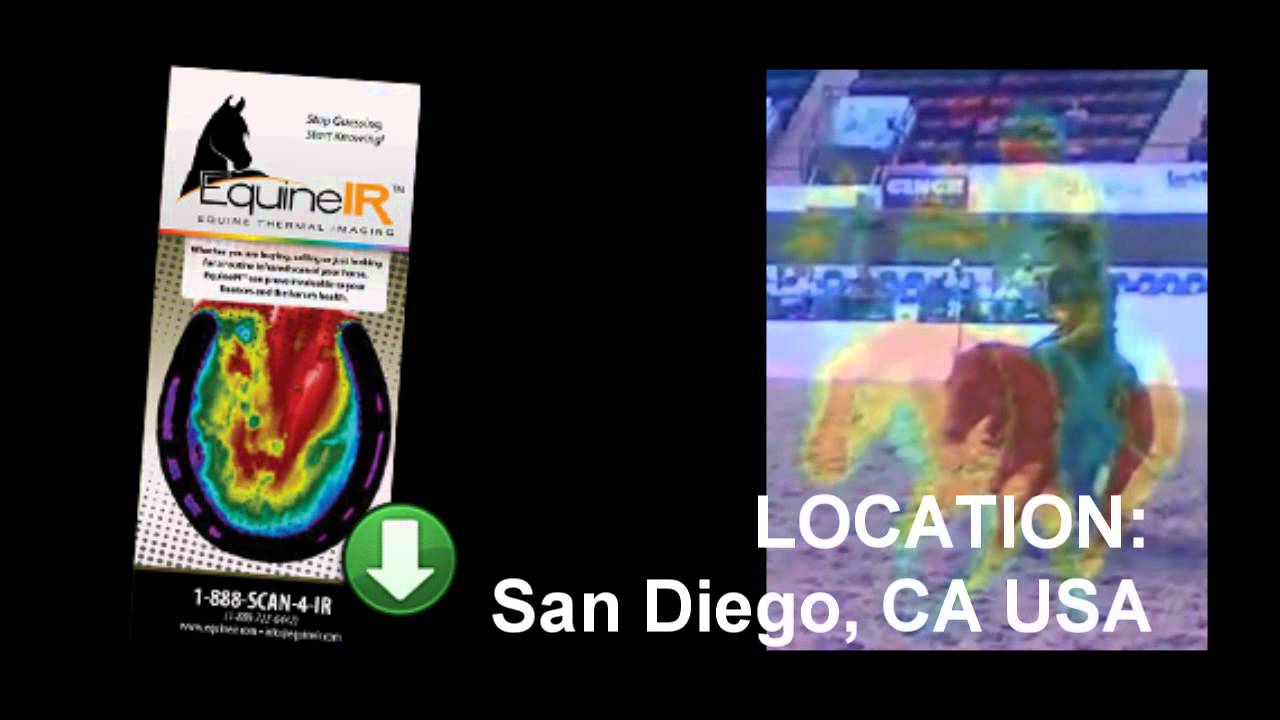 Infrared Thermal Imaging Equine (Horse) Thermography YouTube