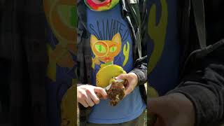 Super Satisfying Mushroom ASMR: Cleaning a Spring Butter Bolete (Butyriboletus primiregius) Edible