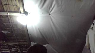 Capture 20101222 1