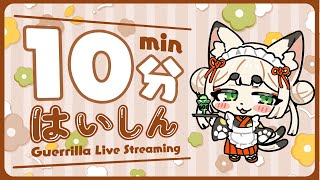 【雑談】１０分配信【ケモノ系Vtuber】