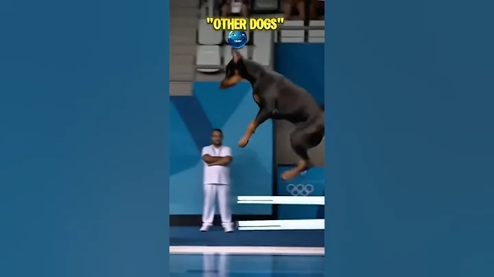 Other dogs vs the last one😱 #shorts #shortvideo #viralshorts