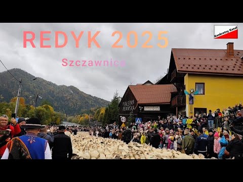 REDYK 2025 - Thousands of sheep passed through Szczawnica with the highlanders! Beautiful Poland!