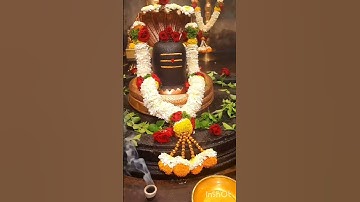 🙏🌹Devo ke Dev Mahadev 🔱🥰|#mahadevstatus #mahakal #shivshakti #shivpuja #song #youtuber #viralshort
