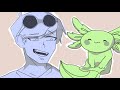 Dream’s Axolotl Song |~| Imishroom