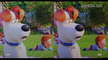 HDR vs SDR - Should You Enable HDR In Netflix With Budget Projector?