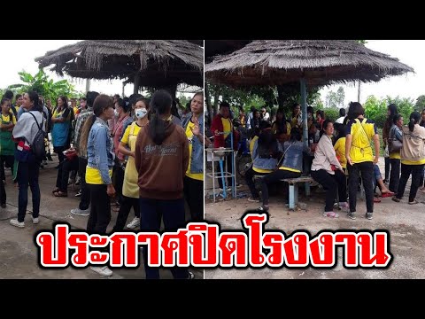 ไปต่อไม่ไหว NaRaYa ประกาศปิดโรงงาน