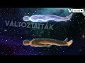 Halál Utáni Élmények: Titkok és Történetek
