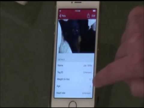 Mission Moment: Red Cross Pet First-Aid app for iPhone and Android