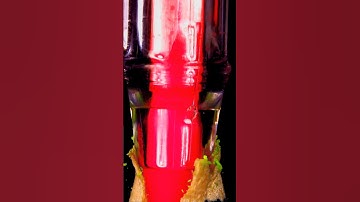 Best Spirograph Designs Ever #art #shorts #spirograph #asmr #artartandcraft