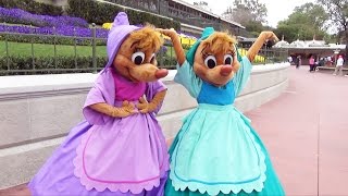 We Meet Suzy And Perla From Cinderella At The Magic Kingdom, Walt Disney World