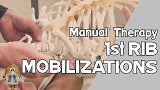 1st Rib Mobilizations Manual Therapy Techniques screenshot 3