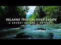 Relaxing Tropical River Escape – A Secret Nature Getaway