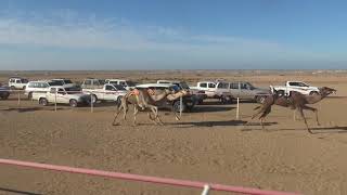 الجمعه    الموافقيناير الشوط الرئيسي ثنايا وما فوق مكس كم