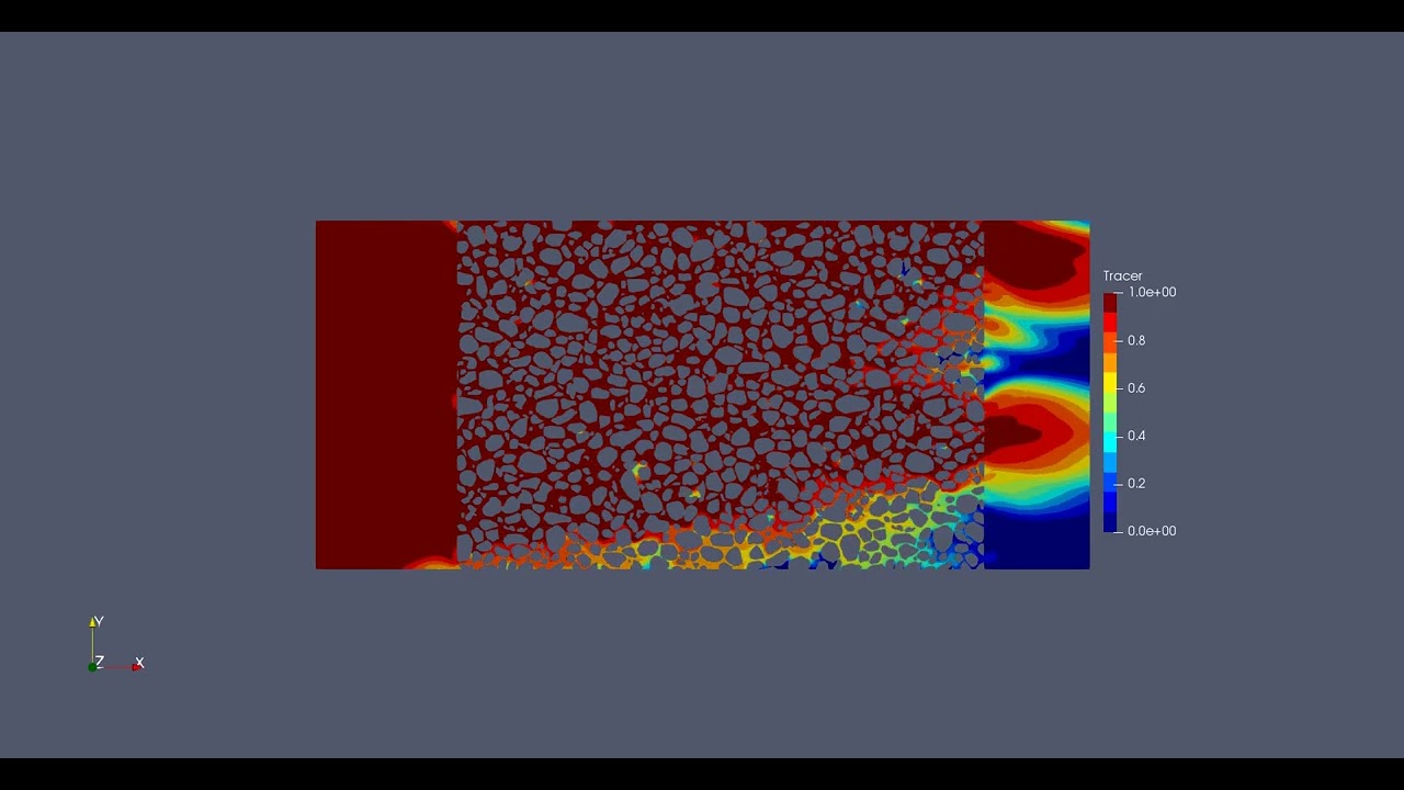 AGU24 - H33K-1074 - Tracer Simulation of a Bioclogged Sandy Medium after 15 hours of biofilm growth