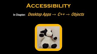 C++: Accessibility