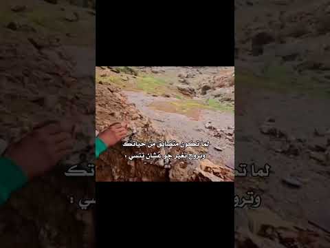 لما تكون رايق مش طبيعي الضحك اكسبلور ضحك نهفات