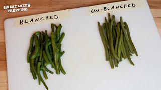 Freezing Green Beans: Blanched vs. Unblanched Comparison & Taste Test