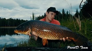 КХ "Заречье"  - В гармонии с природой! Карпфишинг (охота на дикого карпа)