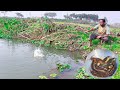 Fishing Video || Fishermen are fishing in the village pond using hooks || Amazing hook fishing 2024