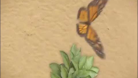 映画この愛のために撃て　篠原涼子の夫・市村正親もご推薦