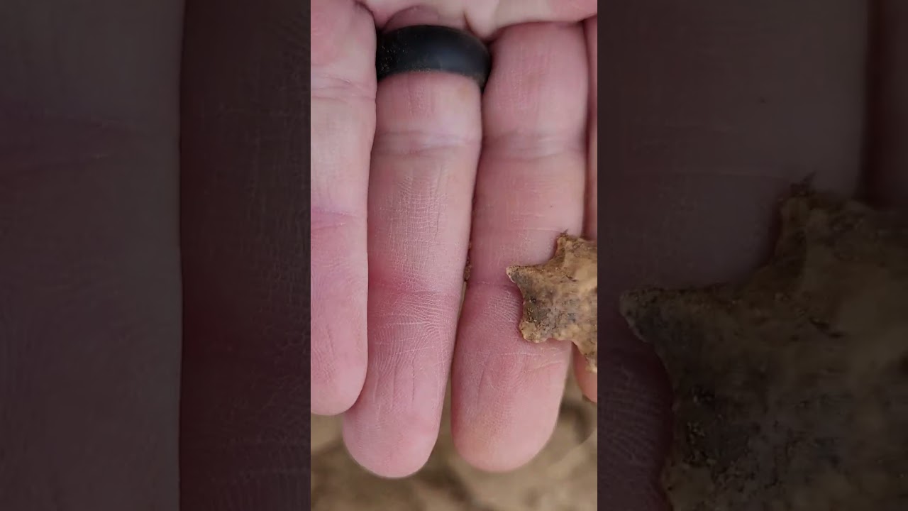 February 26,   2023 Ohio field hunt for Native American artifacts