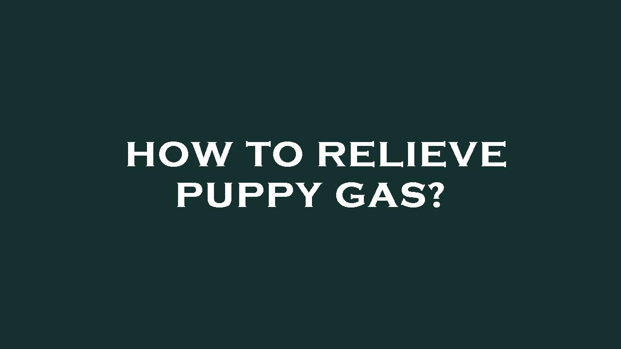 How to relieve puppy gas? YouTube