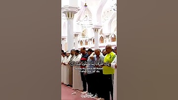 سورة الأحزاب SURAH AL-AHZAB #عبدالولي_الاركاني #abdulwali_alarkani