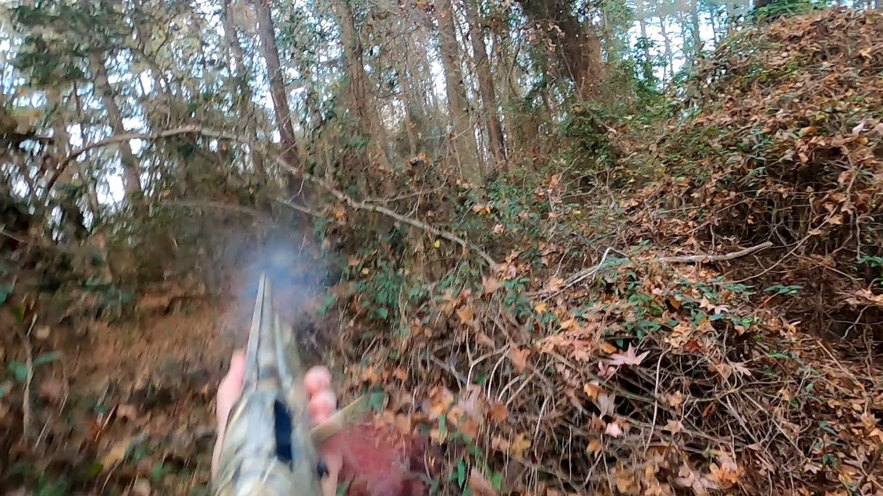 SC Deer Dog Drives 11/24/2025: Thanksgiving week hunts. Ben gets a doe. 