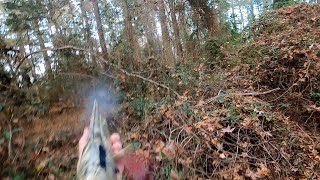 SC Deer Dog Drives 11/24/2025: Thanksgiving week hunts. Ben gets a doe. 