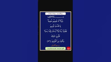 سورة القصص - سورة 28 - اية (47)