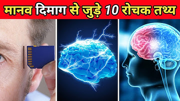 मानव दिमाग की 10 अनोखी बातें | 10 Amazing Facts About Human Brain | Human Body Facts | #shorts #fact