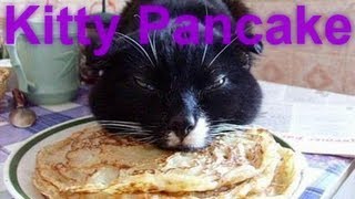 Kitty Pancake Song Lyrics Video