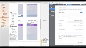 TapApp - Social Messenger For iOS - App Templates For Sale