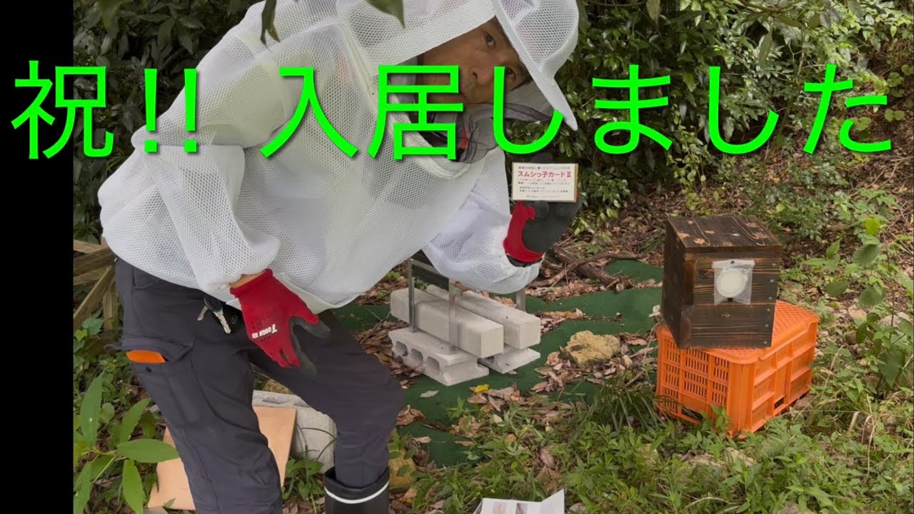 初入居したばい‼︎